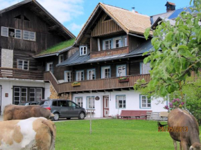 Landl Vorberg Ramsau Am Dachstein